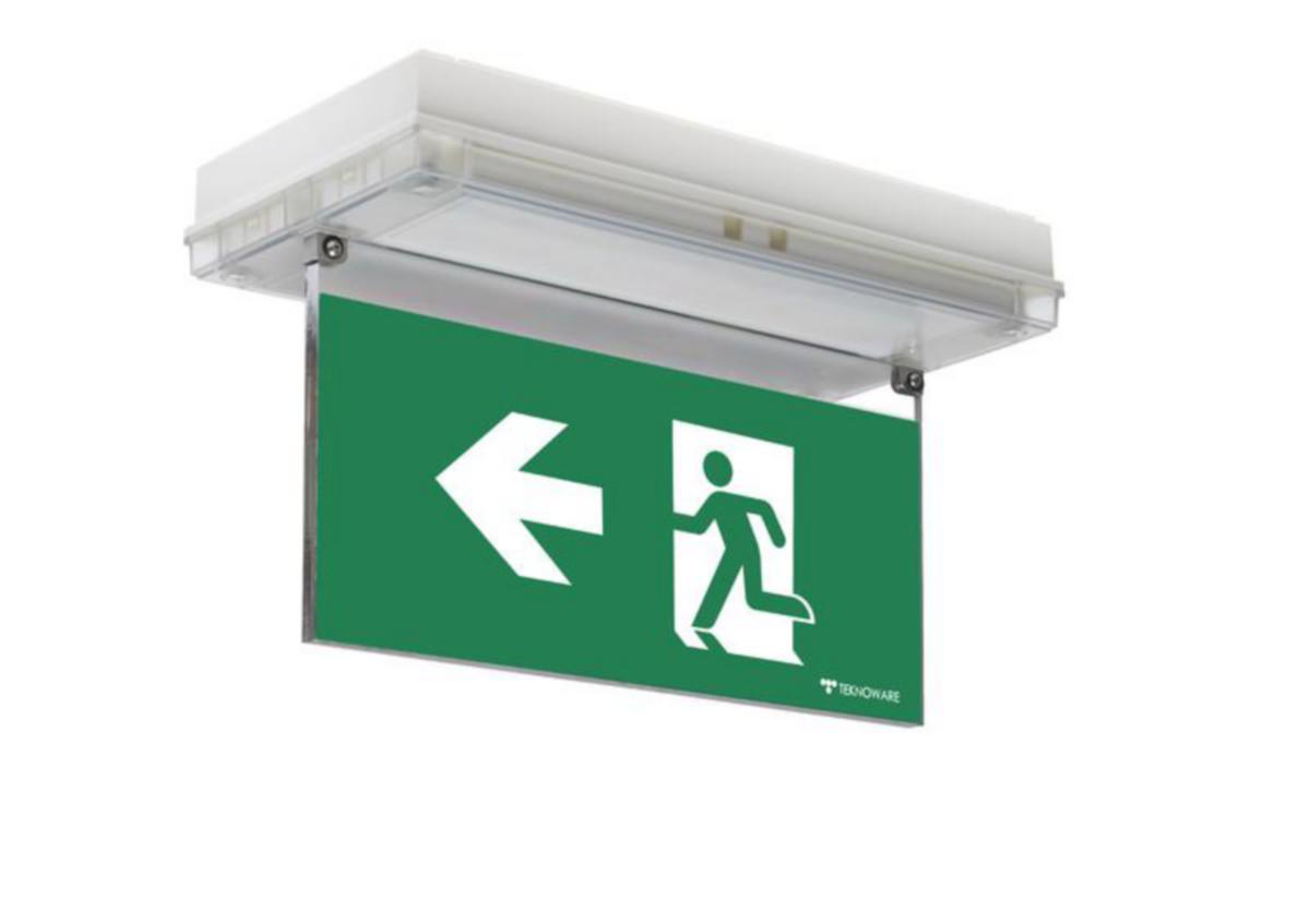 OPASTEVALAISIN SOLID EXIT 2 Y3171W147 24-230V 30M VAS 1-P